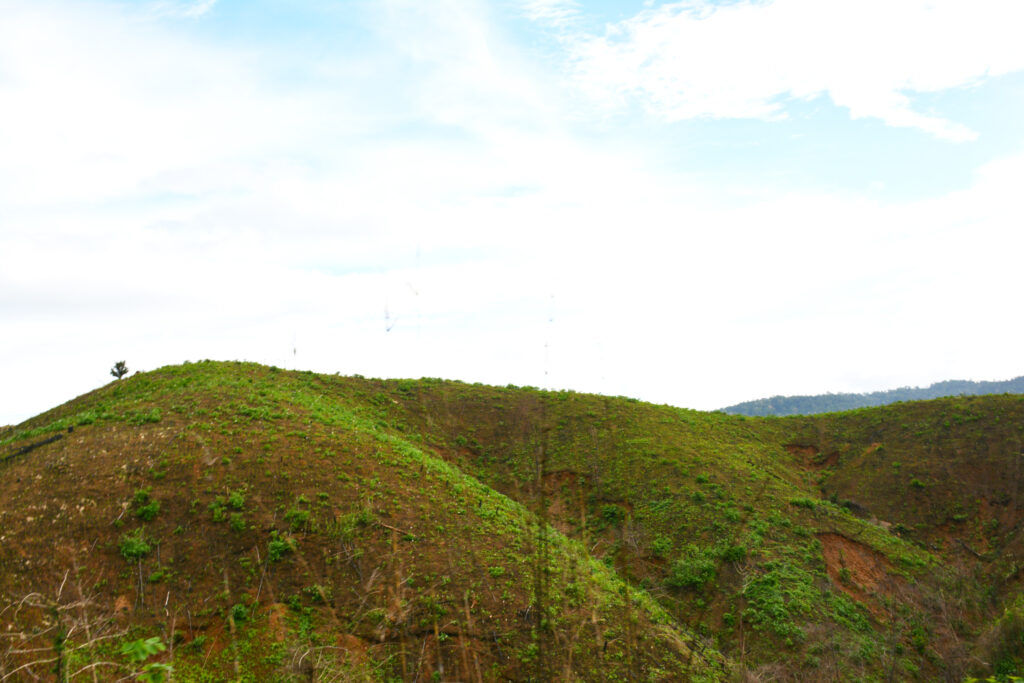 ကမ္ဘာမြေကြီး ကျန်းမာဖို့လို