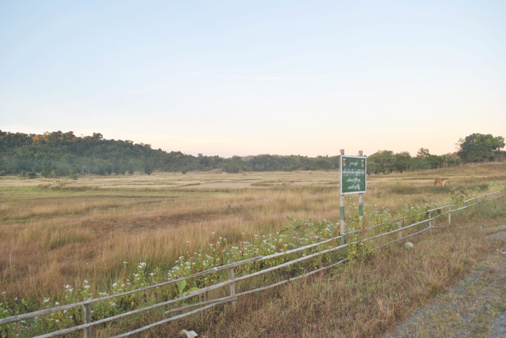 တောင်ကုတ်မြို့တွင် ဒေသကောလိပ်ကျောင်း တည်ဆောက်မည်ဟုသိရ