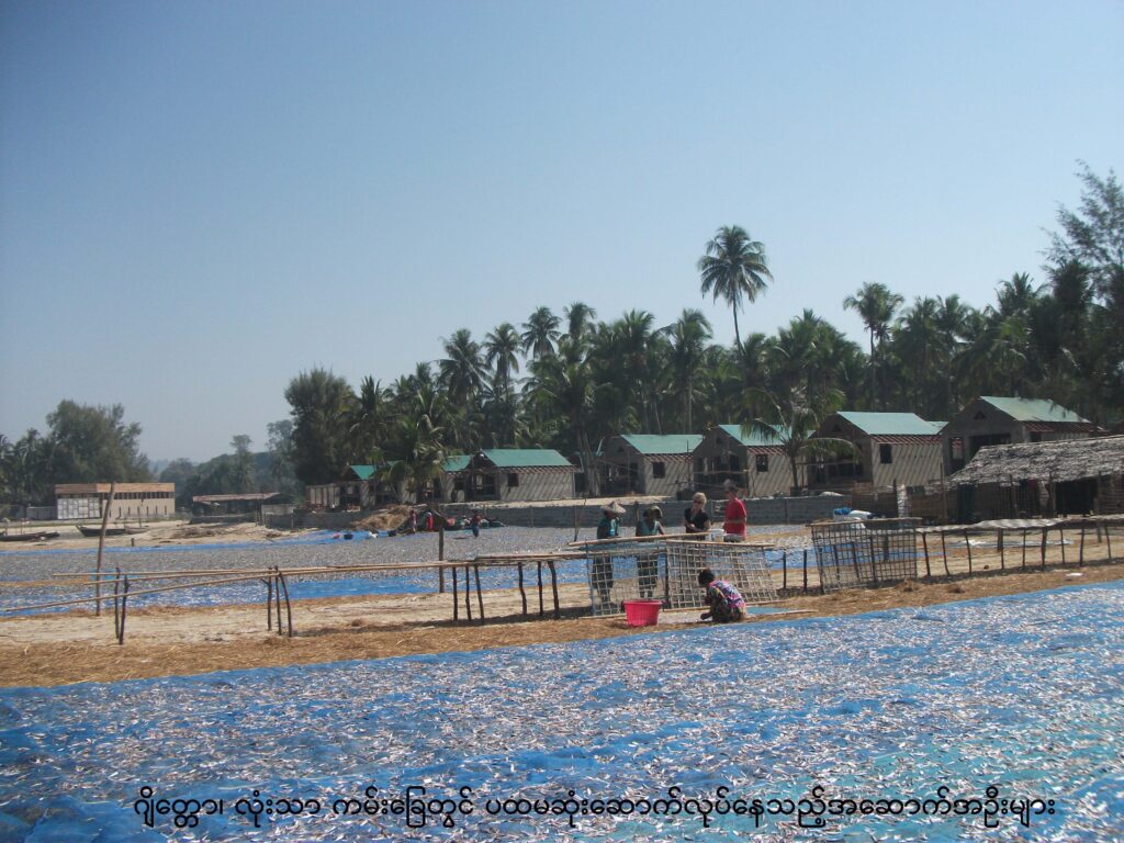 ငပလီကမ်းခြေတစ်လျှောက် ဟိုတည်များတိုးချဲ့တည်ဆောက်၊ လုံးသာ၊ ဂျိတ္တောကမ်းခြေတွင်ရှိသော မြေကွက် ဈေးနှုန်းများ မြင့်တက်လာနေကြောင်းသိရ